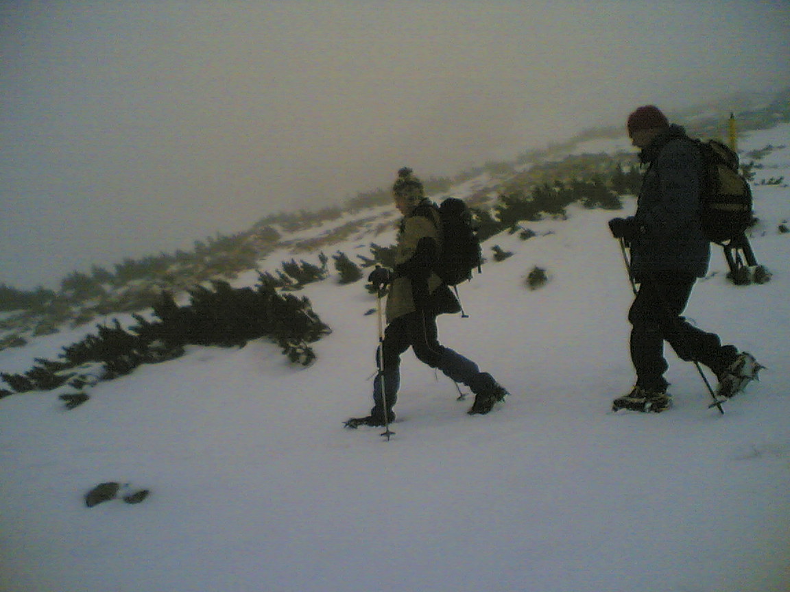 Nagyl&eacute;ptekkel